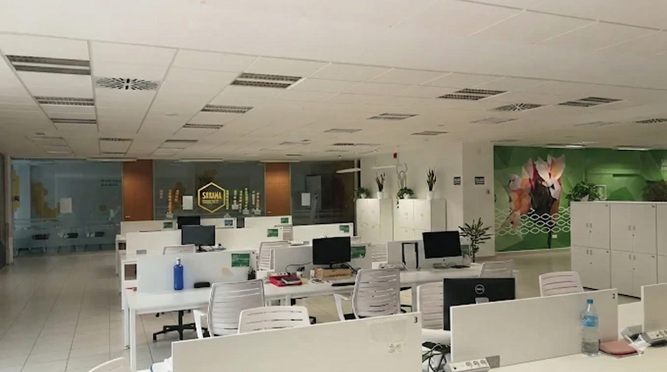 Oficinas de MomoBytes 